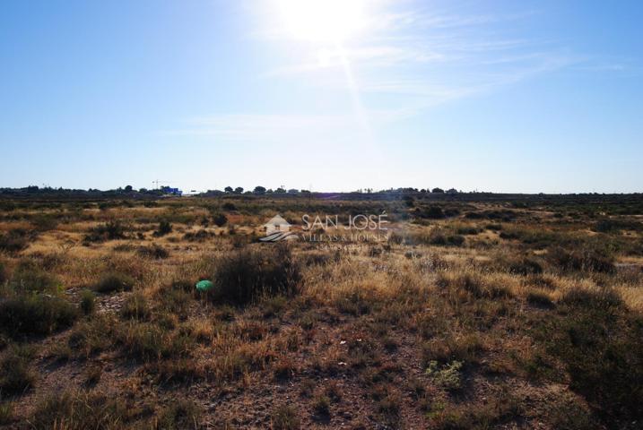 SE VENDE FINCA RUSTICA EN PARTIDA DE ALTABIX ELCHE photo 0