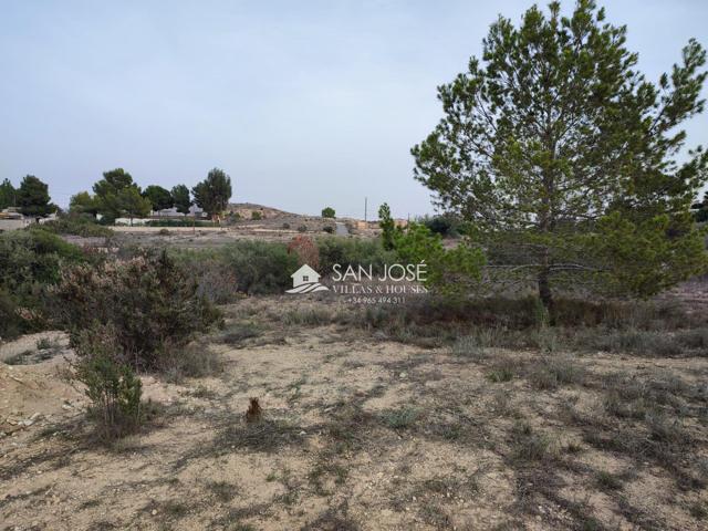 SE VENDE TERRENO EN ASPE. ZONA BIEN COMUNICADA photo 0