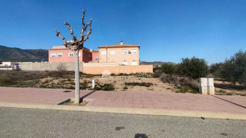 VENTA DE DOS SOLARES EN SALINAS photo 0