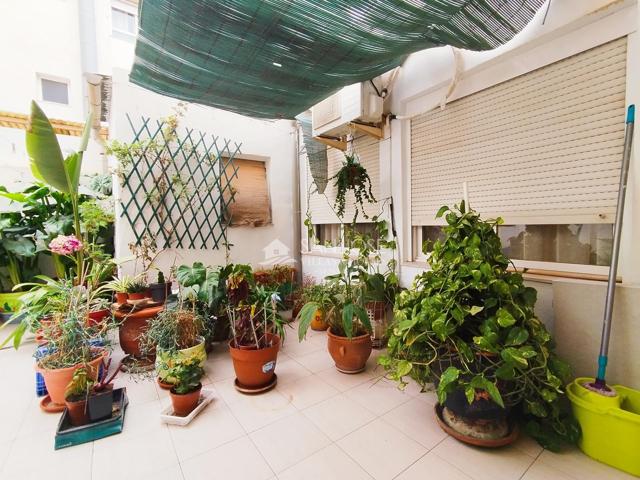 SE VENDE PISO EN MONFORTE DEL CID ZONA INSTITUTOS photo 0