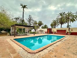 VENTA DE CHALET EN ELCHE, MUY BUENA ZONA, photo 0