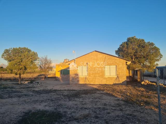 SE VENDE CASA DE CAMPO PARA REFORMAR UNA CASA Y TERMINAR DE REFORMAR OTRA CASA EN ASPE photo 0