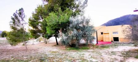 SE VENDE CHALET EN BUEN ESTADO EN MONOVAR ZONA DE CAVARRASA photo 0