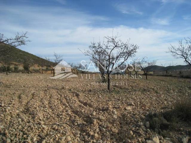 VENTA DE PARCELA CON LICENCIA DE OBRAS EN HONDON DE LAS NIEVES photo 0