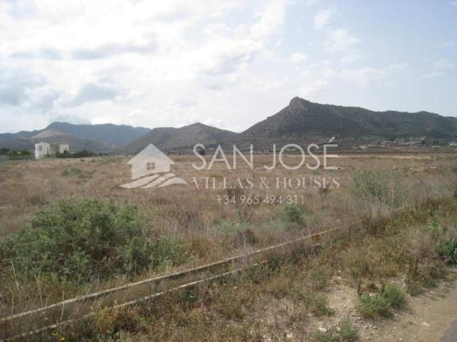VENTA DE PARCELA RUSTICA EN ASPE ALICANTE photo 0