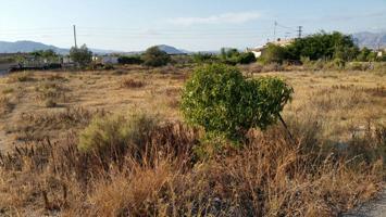 SE VENDE TERRENO EN ASPE, ALICANTE, ESPAÑA, SPAIN. photo 0