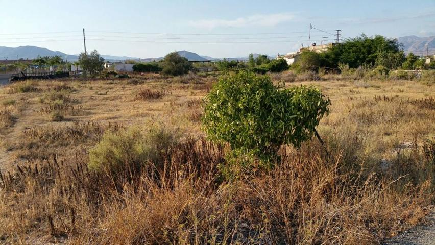 SE VENDE TERRENO EN ASPE, ALICANTE, ESPAÑA, SPAIN. photo 0