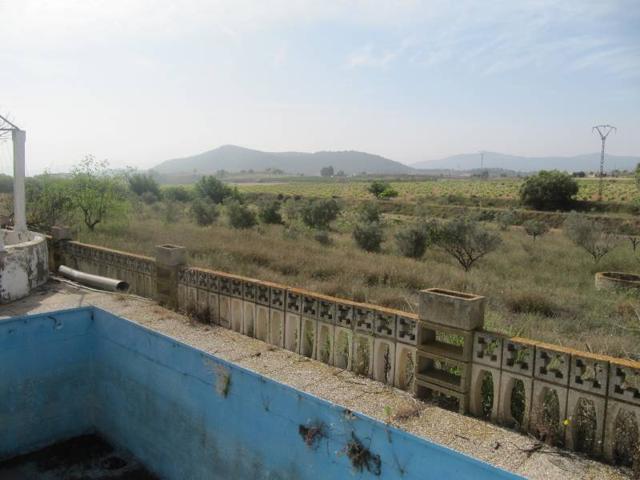 VENTA DE CORTIJO CON VIÑEDOS Y FRUTALES EN PRODUCCION photo 0