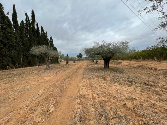 Terreno Rural zona de Valverde photo 0