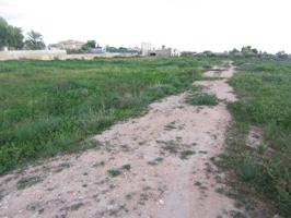 Agrícola En venta en Peña De Las Aguilas, Peña Las Aguilas photo 0