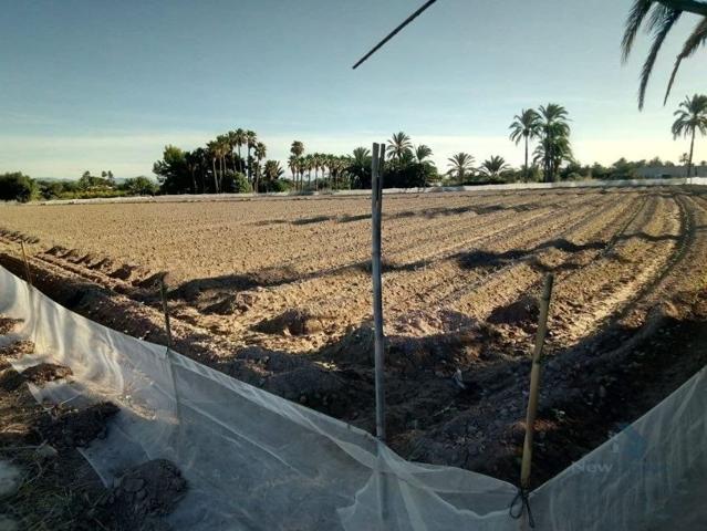 MAGNIFICO TERRENO URBANIZABLE MUY CERCANO A ELCHE photo 0