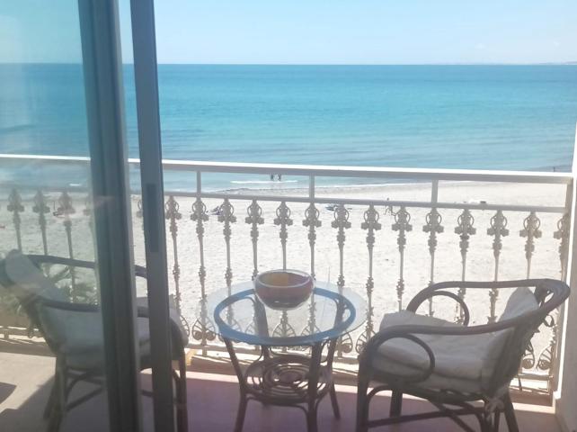 El piso mas 'IN' de Santa Pola  Muy céntrico, primera línea en playa de Levante photo 0