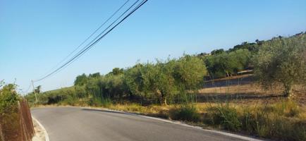 Venta de Terrenos en el Camino de los Pallus photo 0
