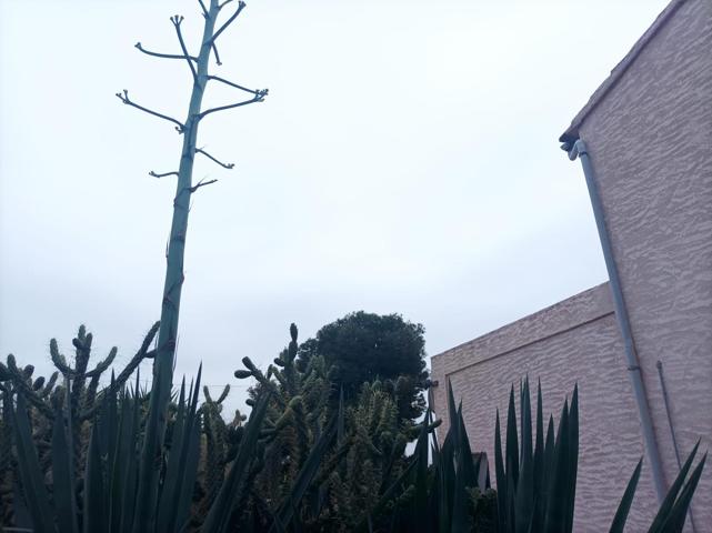 SE VENDE CASA DE CAMPO photo 0
