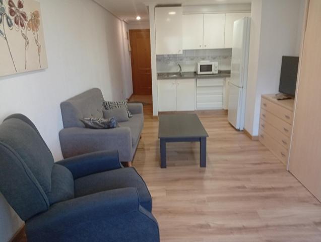 Alquiler de loft en Elche – Zona Altabix - Universidad photo 0