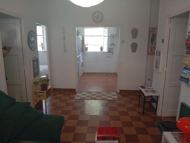 Planta Baja, frente al rio Vinalopó zona Biblioteca CEU photo 0