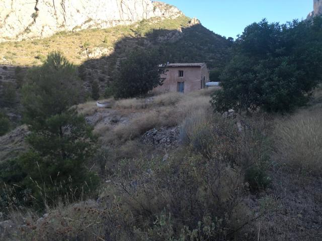 SE VENDE TERRENO PARAJE NATURAL, EN PLENA NATURALEZA A 20 MINUTOS DE ALICANTE photo 0