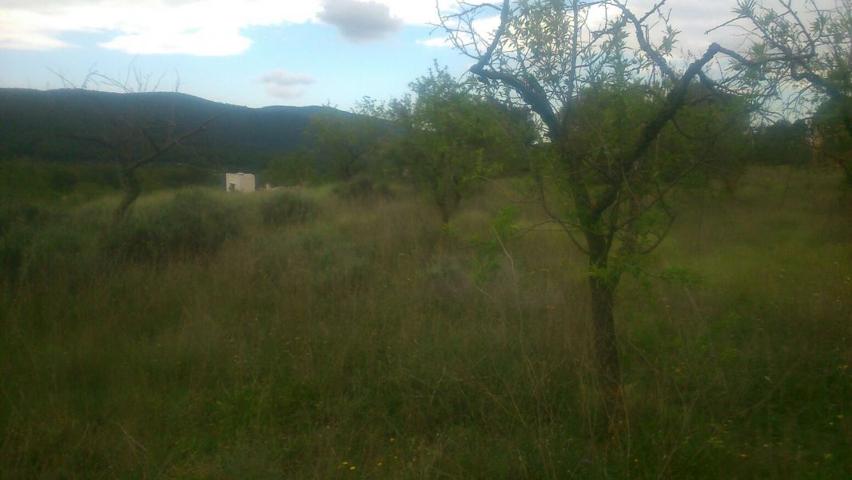 TIENE CASA EN RUINAS ,. TIENE CUEVA CON AGUA NATURAL , photo 0