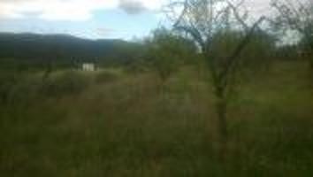 PARCELA PEGADA AL PUEBLO DE TORREMANZANAS -ARBOLES - 7.500 MTS photo 0