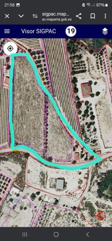 SE VENDE TERRENO EN MUY BUENA ZONA PEGADO A NOVELDA CON 10800 METROS DE TERRENO photo 0