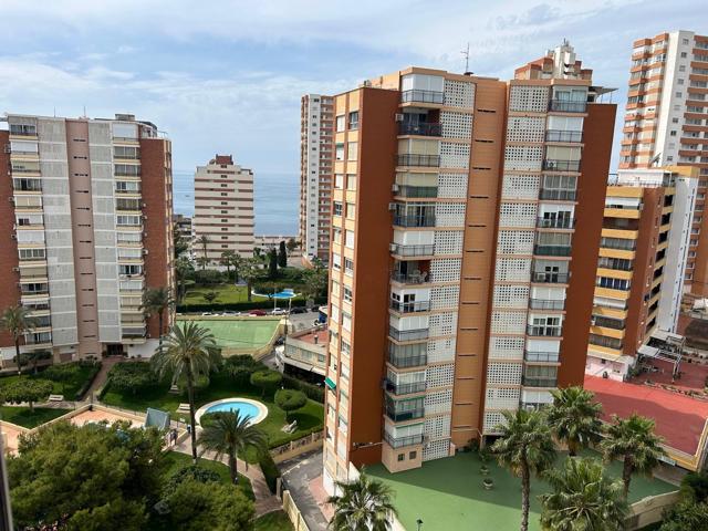 APARTAMENTO EN VENTA DE 1 DORMITORIO EN BENIDORM photo 0