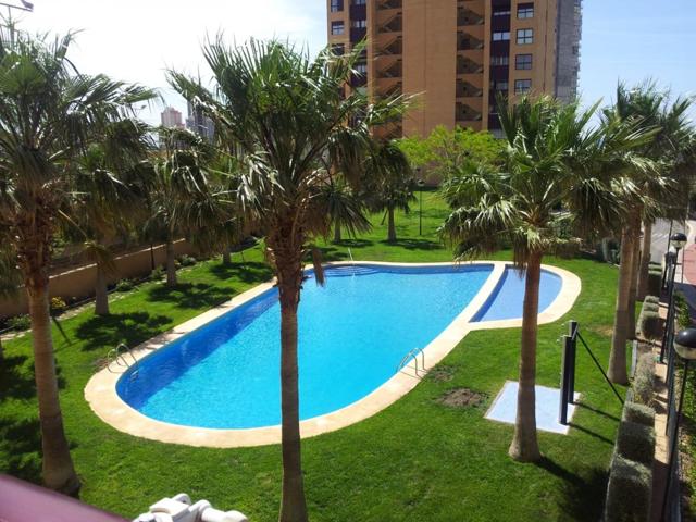 PISO EN VENTA DE 1 DORMITORIO EN BENIDORM photo 0