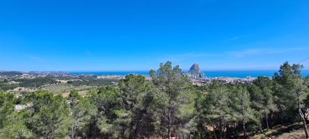 ▷Parcela de 5150 m2 en Oltamar Calpe con Vistas a la Montaña Costa Blanca Alicante photo 0