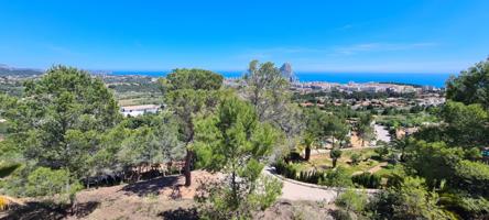 ▷Parcela de 2500 m2 en Oltamar Calpe con Vistas a la Montaña Costa Blanca Alicante photo 0