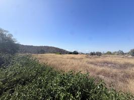 TERRENO CON CASA DE APEROS EN AGUAS DE BUSOT photo 0