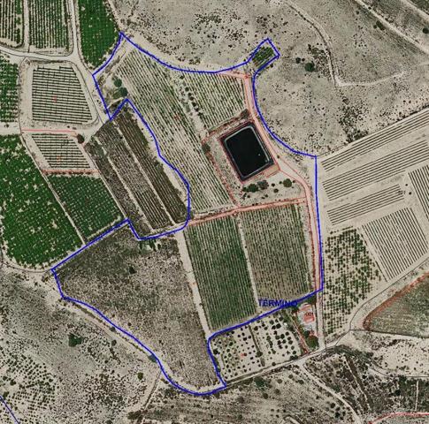 FINCA RUSTICA DE 49500 M2 CON NAVE Y BALSA photo 0