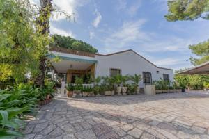 ¡Oportunidad única en Peña de las Águilas! photo 0