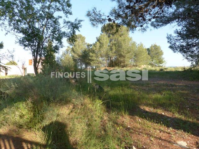 PARCELA EN SESOLIVERES DE 800 M2, PLANA, EN LA MEJOR ZONA POR 150.000 EUR photo 0