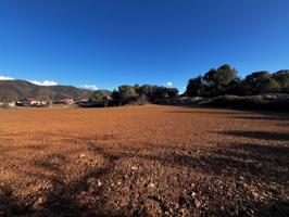 Oportunidad de Inversión Excepcional: Terreno Solar Rústico en Font del Camaró photo 0