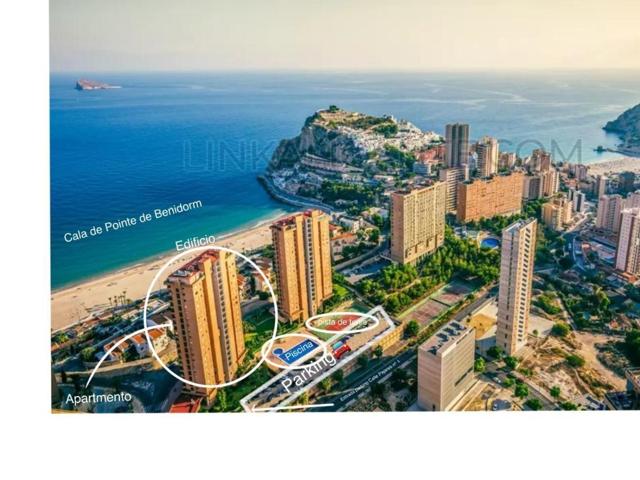 LOCAL CON TERRAZA EN CALA DE BENIDORM A 5 MINUTOS DE LA PLAYA MILPISOS.ES photo 0