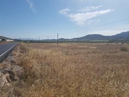 Terreno Hondón de los Frailes primera línea con agua (Alicante) photo 0