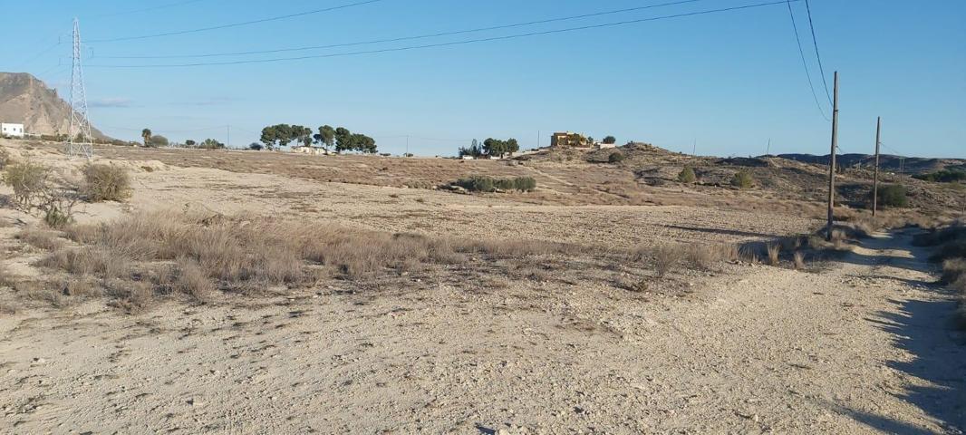 Terreno 11.600 m2 para construir Chalet Elche photo 0