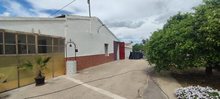 TU CAMPO PARA VIVIR EN TRANQUILIDAD photo 0