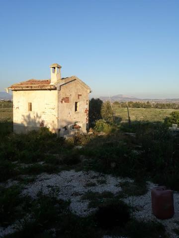VENDO PARCELA VALLADA CON AGUA DE RIEGO photo 0