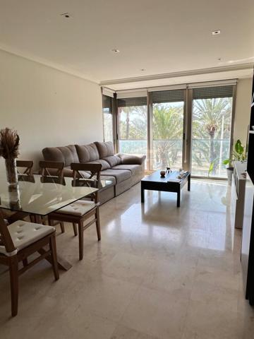 Piso En alquiler en Centro, Elche photo 0