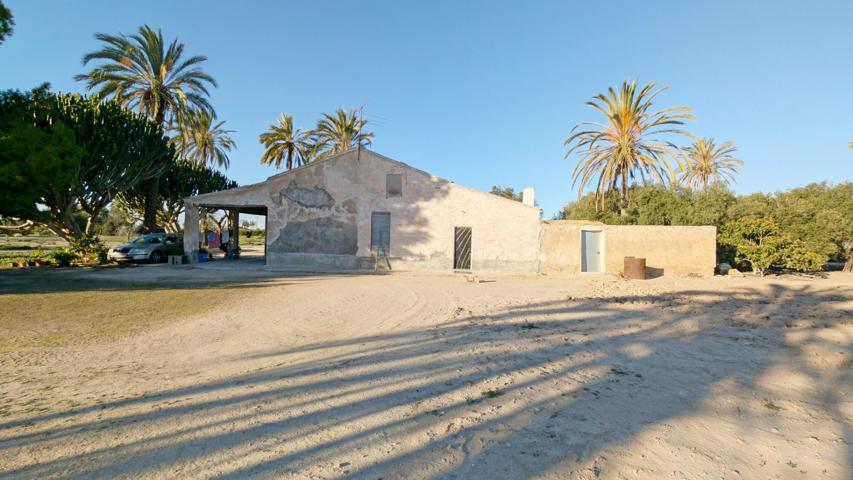 ¡CASA TÍPICA DEL CAMPO DE ELCHE CON AMPLIA PARCELA Y EXCELENTE UBICACIÓN! photo 0