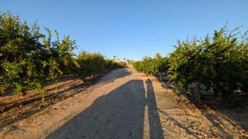 SE VENDEN PARCELAS CON UN TOTAL DE 10.448 M2, ZONA PUZOL, MUY CERCANAS AL RESTAURANTE CACHITO Y EL COLEGIO DE PUZOL. photo 0