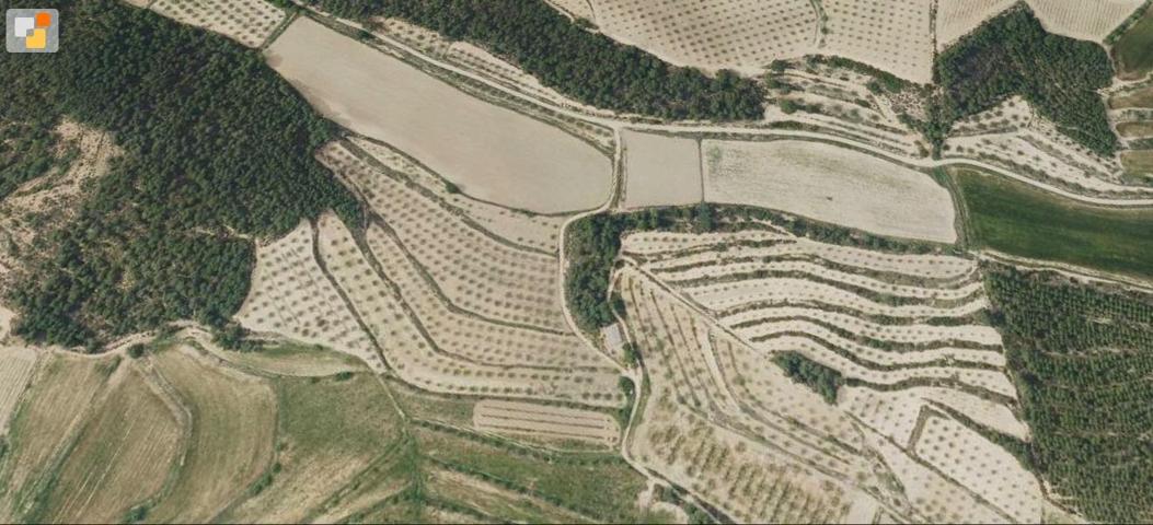 TERRENO RÚSTICO photo 0