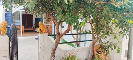 Venta de de Bungalow en planta baja en la playa de las Mil Palmeras photo 0