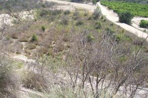 Terreno Urbanizable En venta en Arneva, Orihuela photo 0