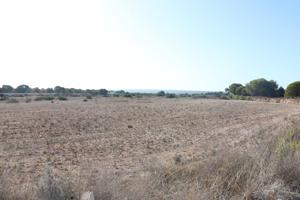 ¡¡¡Gran Oportunidad!!! photo 0