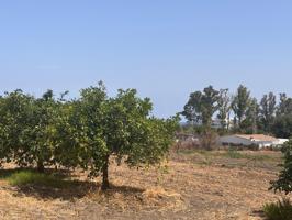 Parcela urbana de 2.000 m2, para construcción autorizada de 10 viviendas en Selwo, Estepona photo 0