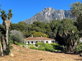 Propiedad en una parcela de 2.085m2 para reformar o demoler en Sierra Blanca photo 0