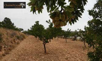 PARCELA EN HONDON DE LAS NIEVES photo 0