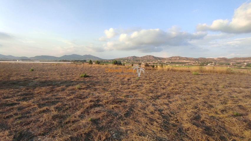 SE VENDE PARCELA EN PARTIDA ALCANA EN ASPE !!!!!!!!!! photo 0