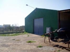 Nave Industrial En venta en Crevi-Squash, Crevillent photo 0